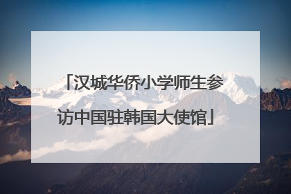 汉城华侨小学师生参访中国驻韩国大使馆