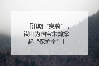 汛期“突袭”，崀山为国宝朱鹮撑起“保护伞”