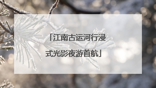 江南古运河行浸式光影夜游首航