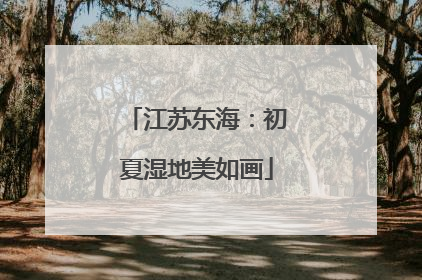 江苏东海：初夏湿地美如画