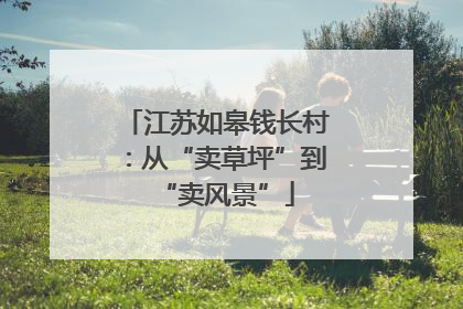 江苏如皋钱长村：从“卖草坪”到“卖风景”