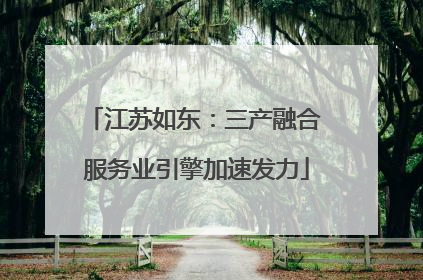 江苏如东：三产融合 服务业引擎加速发力