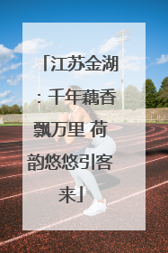 江苏金湖：千年藕香飘万里 荷韵悠悠引客来