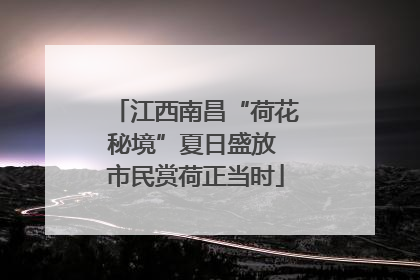 江西南昌“荷花秘境”夏日盛放 市民赏荷正当时