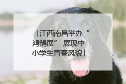 江西南昌举办“鸿鹄展” 展现中小学生青春风貌