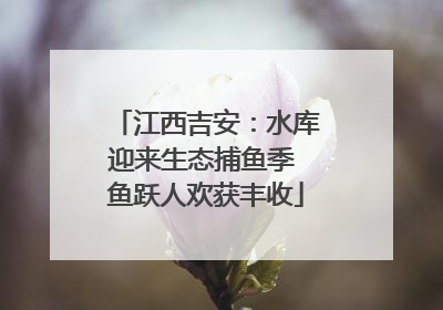 江西吉安：水库迎来生态捕鱼季 鱼跃人欢获丰收