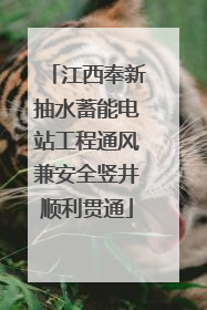 江西奉新抽水蓄能电站工程通风兼安全竖井顺利贯通