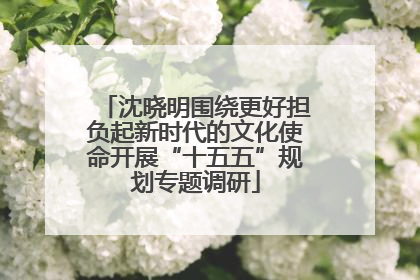 沈晓明围绕更好担负起新时代的文化使命开展“十五五”规划专题调研