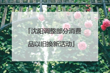 沈阳调整部分消费品以旧换新活动