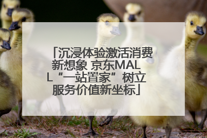 沉浸体验激活消费新想象 京东MALL“一站置家”树立服务价值新坐标