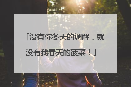 没有你冬天的调解，就没有我春天的菠菜！