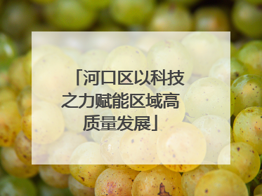 河口区以科技之力赋能区域高质量发展
