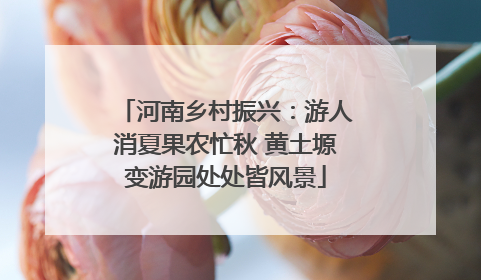 河南乡村振兴：游人消夏果农忙秋 黄土塬变游园处处皆风景