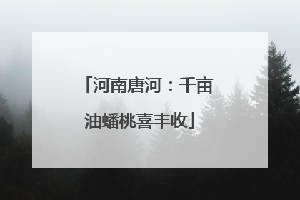 河南唐河：千亩油蟠桃喜丰收