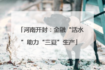河南开封：金融“活水”助力“三夏”生产