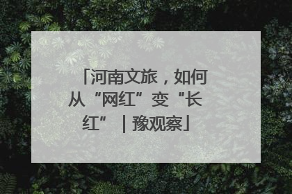 河南文旅，如何从“网红”变“长红”｜豫观察
