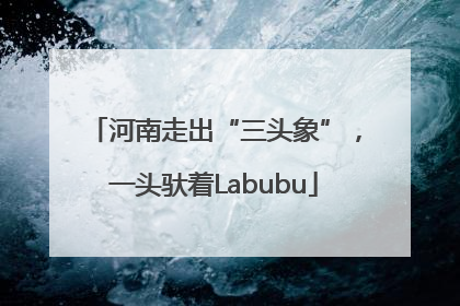 河南走出“三头象”，一头驮着Labubu