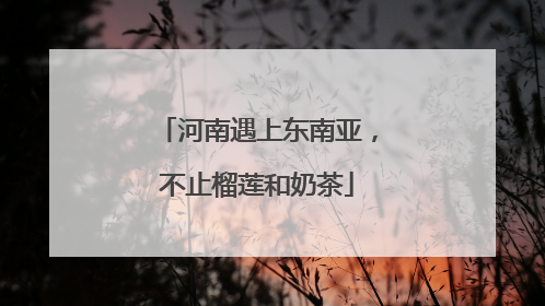 河南遇上东南亚，不止榴莲和奶茶