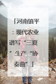 河南镇平：现代农业谱写“三夏”生产“协奏曲”