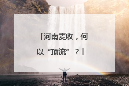 河南麦收,何以“顶流”?