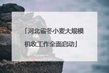 河北省冬小麦大规模机收工作全面启动