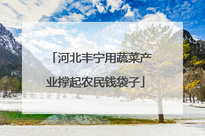 河北丰宁用蔬菜产业撑起农民钱袋子