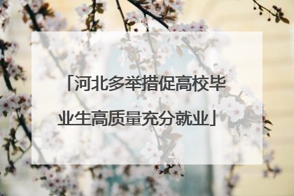 河北多举措促高校毕业生高质量充分就业