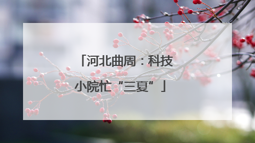 河北曲周：科技小院忙“三夏”