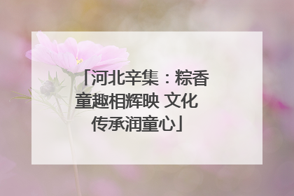 河北辛集：粽香童趣相辉映 文化传承润童心