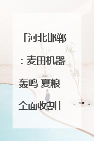 河北邯郸：麦田机器轰鸣 夏粮全面收割
