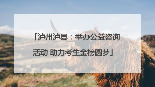 泸州泸县：举办公益咨询活动 助力考生金榜圆梦