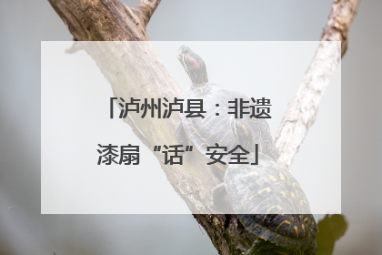 泸州泸县：非遗漆扇“话”安全