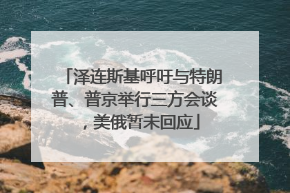 泽连斯基呼吁与特朗普、普京举行三方会谈，美俄暂未回应
