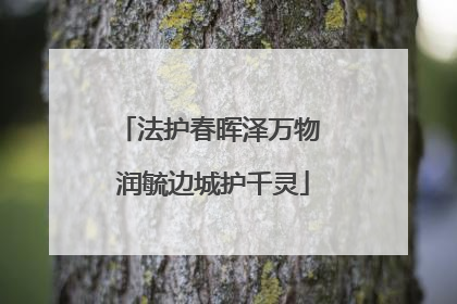 法护春晖泽万物 润毓边城护千灵