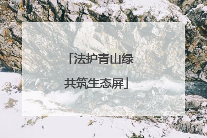 法护青山绿 共筑生态屏