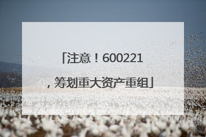 注意！600221，筹划重大资产重组