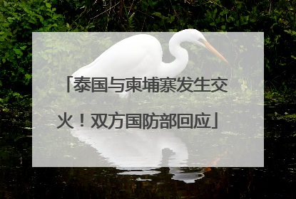 泰国与柬埔寨发生交火！双方国防部回应