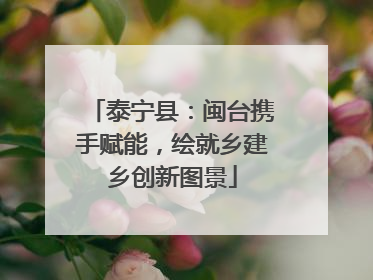 泰宁县：闽台携手赋能，绘就乡建乡创新图景