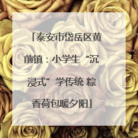 泰安市岱岳区黄前镇：小学生“沉浸式”学传统 粽香荷包暖夕阳