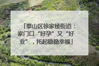 泰山区徐家楼街道：家门口“好孕”又“好业”，托起稳稳幸福