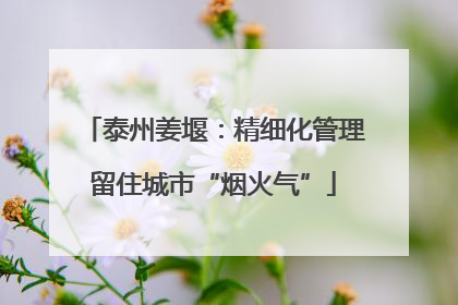 泰州姜堰：精细化管理留住城市“烟火气”
