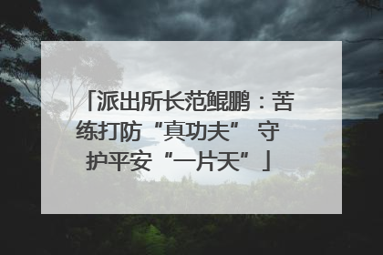 派出所长范鲲鹏：苦练打防“真功夫” 守护平安“一片天”
