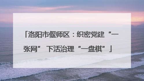 洛阳市偃师区：织密党建“一张网” 下活治理“一盘棋”