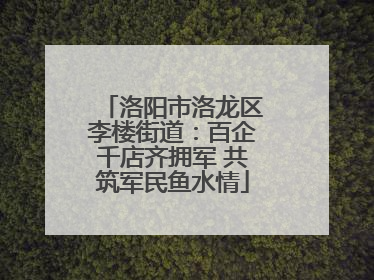 洛阳市洛龙区李楼街道：百企千店齐拥军 共筑军民鱼水情