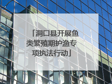 洞口县开展鱼类繁殖期护渔专项执法行动
