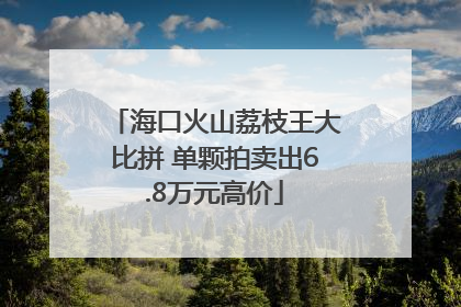 海口火山荔枝王大比拼 单颗拍卖出6.8万元高价