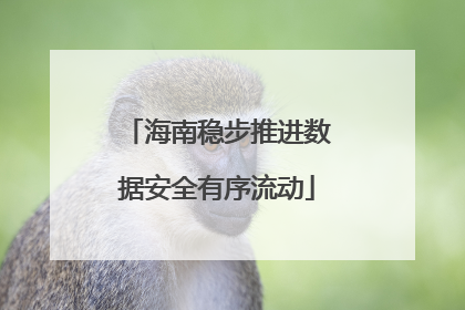 海南稳步推进数据安全有序流动
