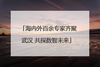海内外百余专家齐聚武汉 共探数智未来