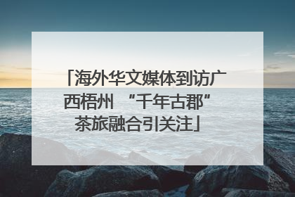 海外华文媒体到访广西梧州 “千年古郡”茶旅融合引关注
