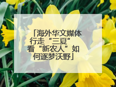 海外华文媒体行走“三夏” 看“新农人”如何逐梦沃野